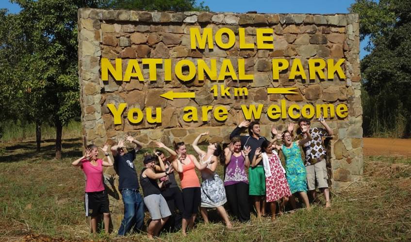 BOOK HOTELS NEAR MOLE NATIONAL PARK